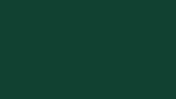 51 BP zielony - kolor pancerza rolet zewnętrznych