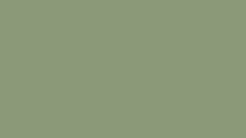 58 BP zielony ciemny - kolor rolet zewnętrznych