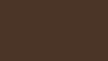 88 BP brązowy jasny - kolor rolet zewnętrznych