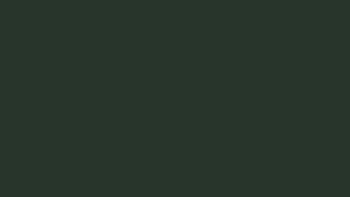 55 BP Dunkelgrün - Farbe der Panzer Außenrollos