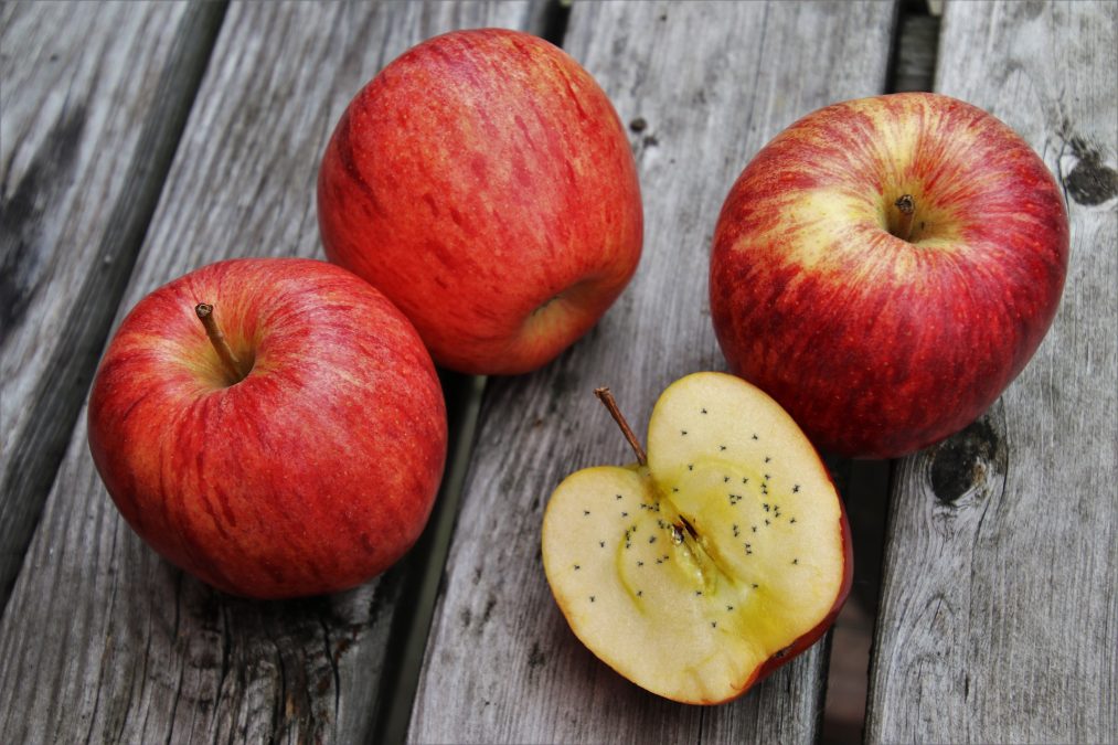 Muszki owocówki na jabłkach 
